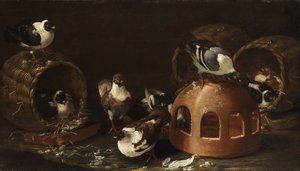 Pigeons Between Feeding Trough and Baskets